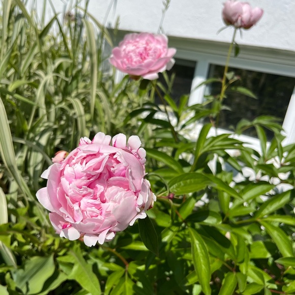 Meet your Posher, Erin - Picture 1 of 1